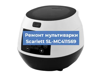 Замена ТЭНа на мультиварке Scarlett SL-MC411S69 в Новосибирске